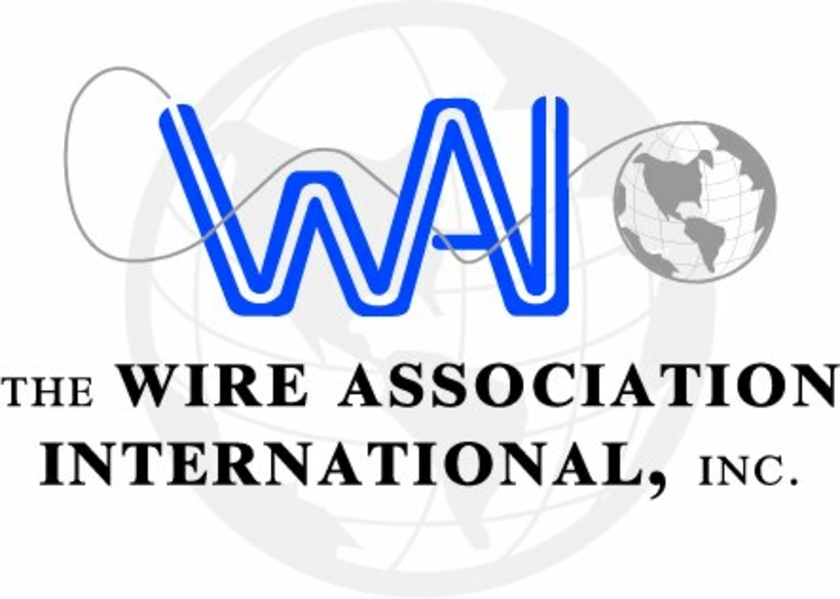 Logo-WAI-Copyright-WAI.jpg