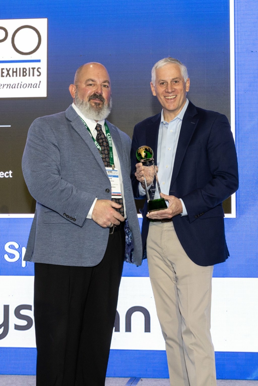 Award-Copyright-WAI.jpg