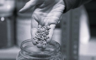 Compounds-Copyright-Benvic.jpg