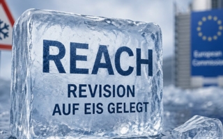 REACH-Copyright-ZVO-KI-generiert.png
