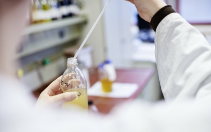 F&E-Projekte sauber dokumentieren und darstellen