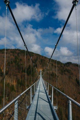 Blackforestline-Haengebruecke.jpg